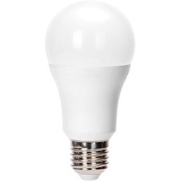 LAMPADINA LED A60 E27 24W 6500K AIGOSTAR