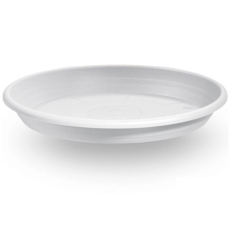 S/VASO BIANCO 56 CILIND.VECA