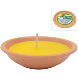 COCCIO CITRONELLA 11,5cm