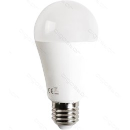 LAMPADINA LED A5 19W E27 6400K