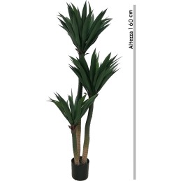 YUCCA 106cm 3 TRONCHI SIRO T.