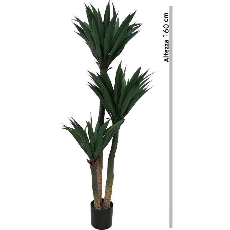 YUCCA 106cm 3 TRONCHI SIRO T.