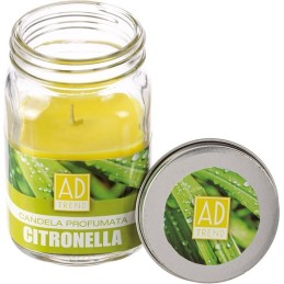 CANDELA CITRONELLA B/V.6,5xH11